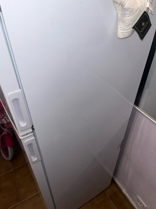Nevera pequeña blanca