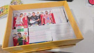 Lote de cromos Adrenalyn XL Panini
