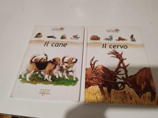 Libri