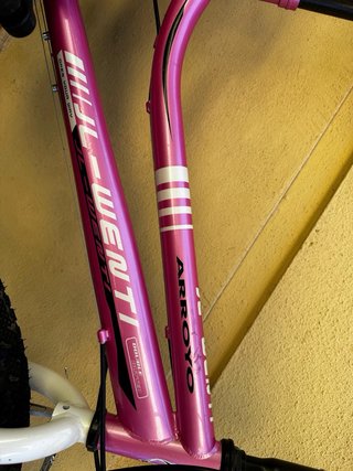 Bicicleta Adolescente Rosa JL-WENTI