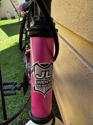 Bicicleta Adolescente Rosa JL-WENTI