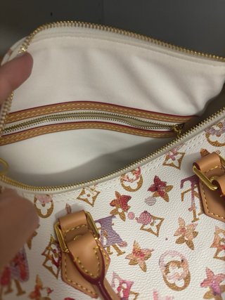 Louis Vuitton Speedy Aquarelle Edición Especial