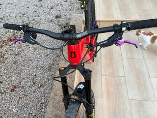 Bicicleta Olympia hekton full carbon