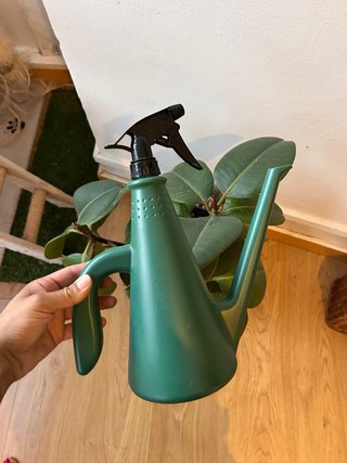 Regadera verde con pulverizador