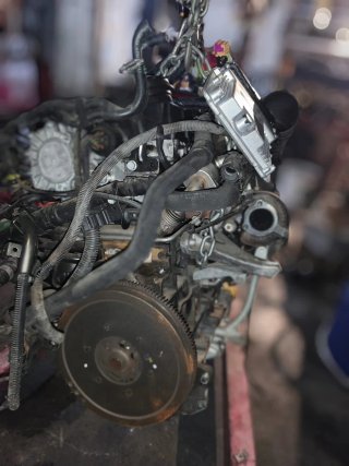 Motor 2.0 TDI BLB