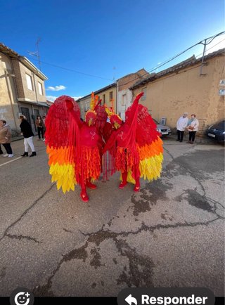 Costume di Fenice per Carnevale - Taglia Unica
