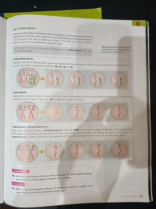 Libros biología 4°ESO bilingüe