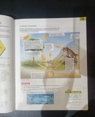 Libros biología 4°ESO bilingüe