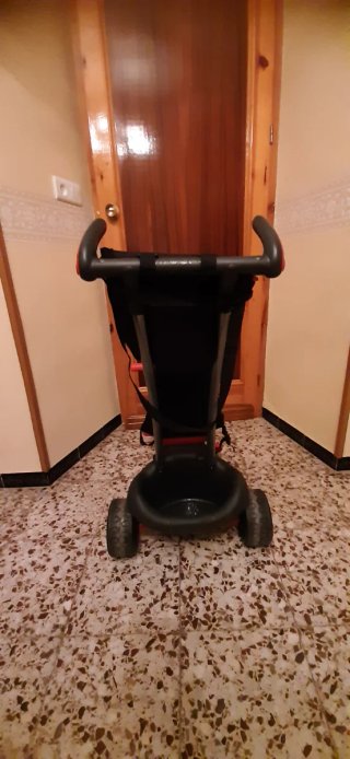 Triciclo Molto Paseo