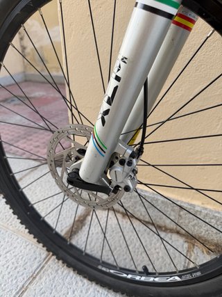 Bicicleta Orbea Sate L