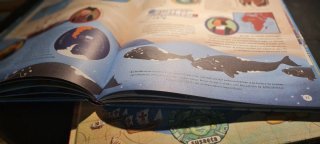 Oferta dúo de libros infantiles tipo atlas