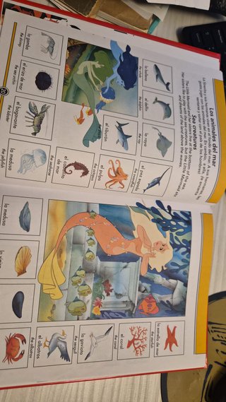 Diccionario infantil inglés