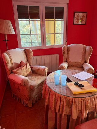 2 Sillones Vintage Estampados a juego