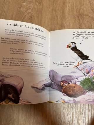 El libro secreto de los Gnomos