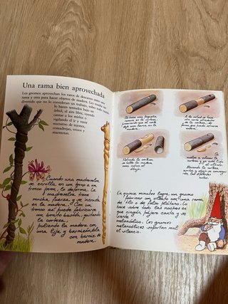 El libro secreto de los Gnomos