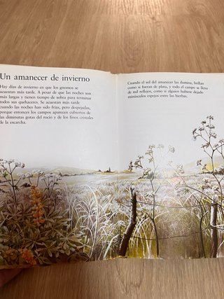 El libro secreto de los Gnomos