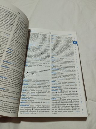 Diccionario lengua española primaria nivel basico