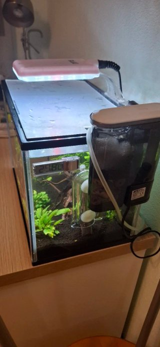 Nano acuario 20L