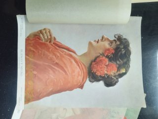 Lote de revistas / láminas antiguas de la históric