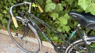 Bicicleta Talbot Clásica Paseo