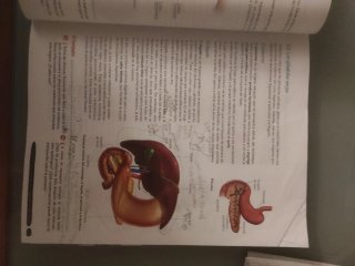Biología y Geología 3º ESO. Libro del estudiant...