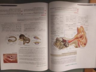 Biología y Geología 3º ESO. Libro del estudiant...