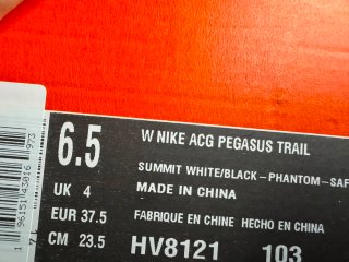 Nike ACG Pegasus Trail Scarpe