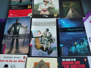Lote 12 libros en inglés