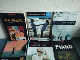 Lote 12 libros en inglés