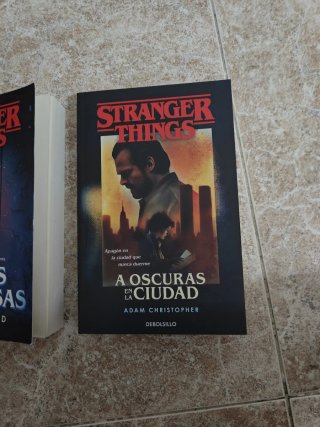 Stranger Things : mentes peligrosas y a oscuras
