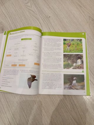 Ciencias de la naturaleza, 4 Primaria Aprender ...