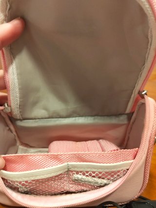 Nintendo DS Rosa con funda