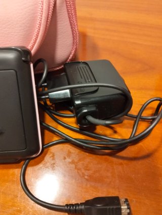 Nintendo DS Rosa con funda