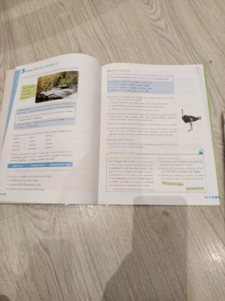 Lengua, 4 Primaria Aprender es Crecer