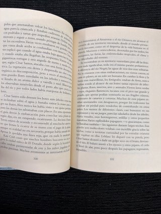 La ciudad de las bestias