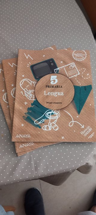 Lengua 5 Primaria