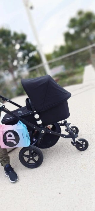 Carrito Bugaboo Negro