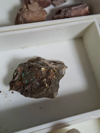 Colección 14 Minerales Rocas Fósil