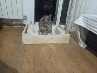 Cama para perro/gato beige y marrón