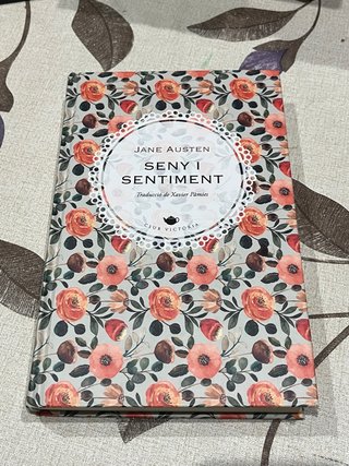 Seny i sentiment