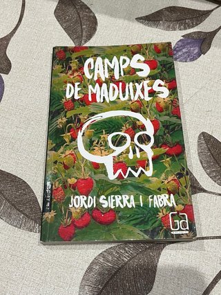 Camps de maduixes