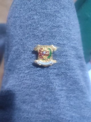 Insignia Solapa Mérito Profesional