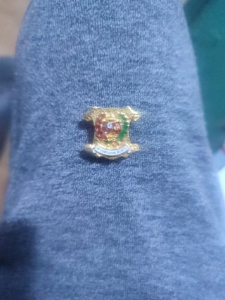 Insignia Solapa Mérito Profesional