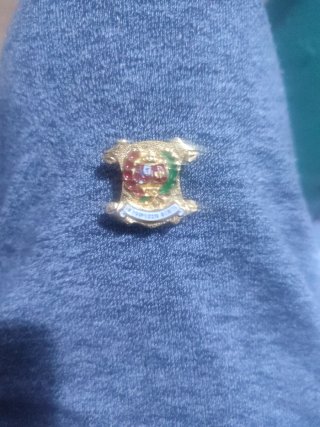 Insignia Solapa Mérito Profesional