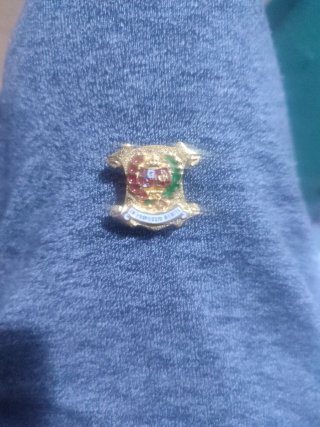 Insignia Solapa Mérito Profesional