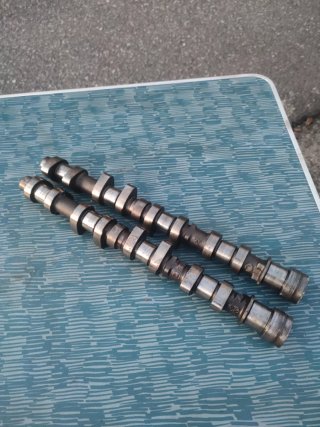 Árboles de levas Citroën Saxo 16v