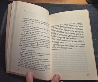 Libro "Seta" - Alessandro Baricco (Ed. Rizzoli)