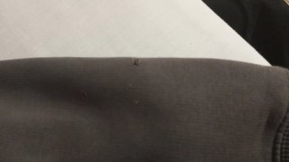 Sudadera Zara con Capucha y Acolchado