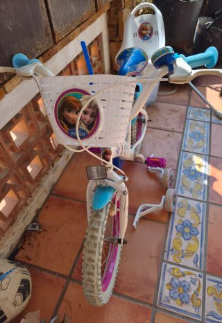 Bicicleta Frozen Infantil con Ruedines