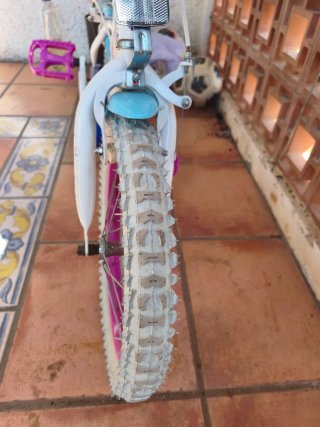 Bicicleta Frozen Infantil con Ruedines